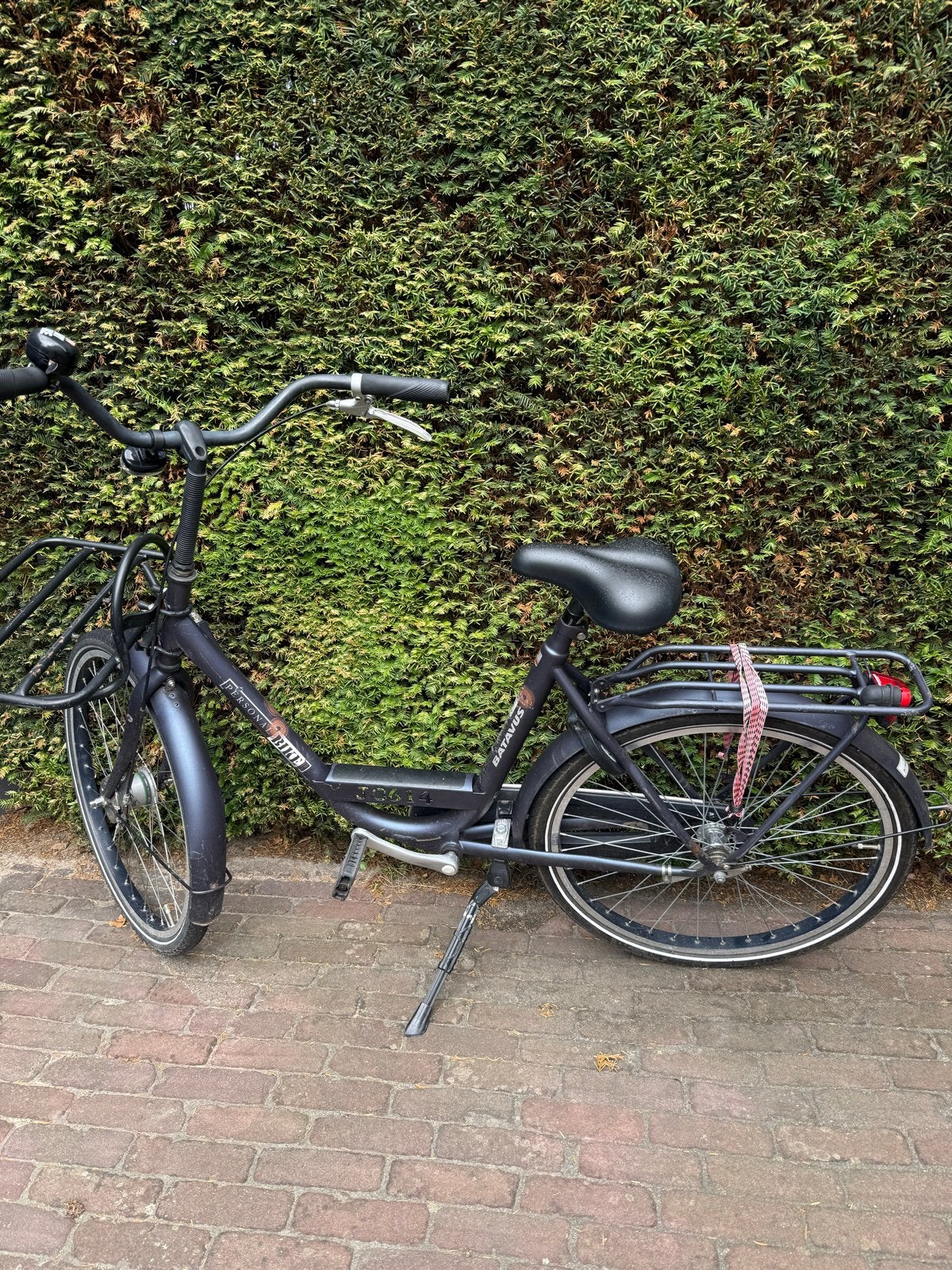 Stadsfiets / studentenfiets, Ophalen, Gebruikt, Batavus, (Extra) lage instap