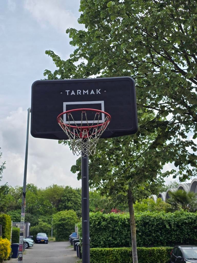 Tarmak basketbalpaal met verstelbare ring, Sport en Fitness, Basketbal, Ophalen