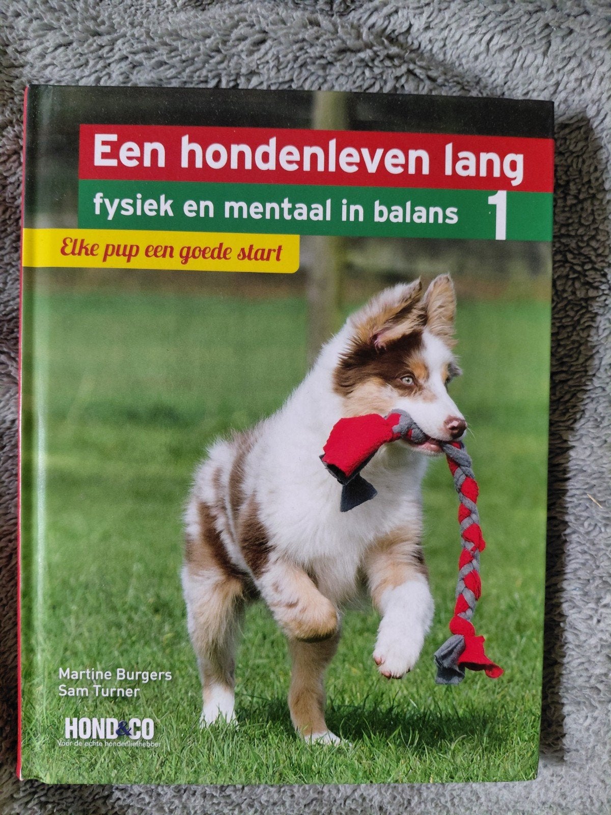 Een hondenleven lang deel 1, Boeken, Dieren en Huisdieren, Gelezen, Honden, Ophalen of Verzenden, Martine Burgers; Sam Turner