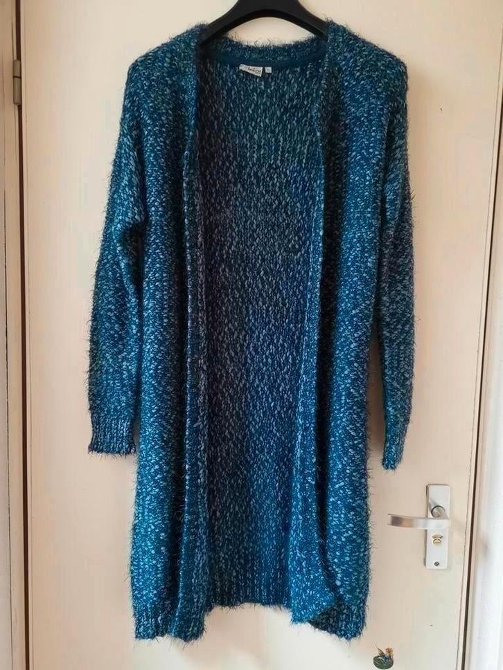 Vest maat L, Ophalen of Verzenden, Nieuw, Maat 42/44 (L), Blauw