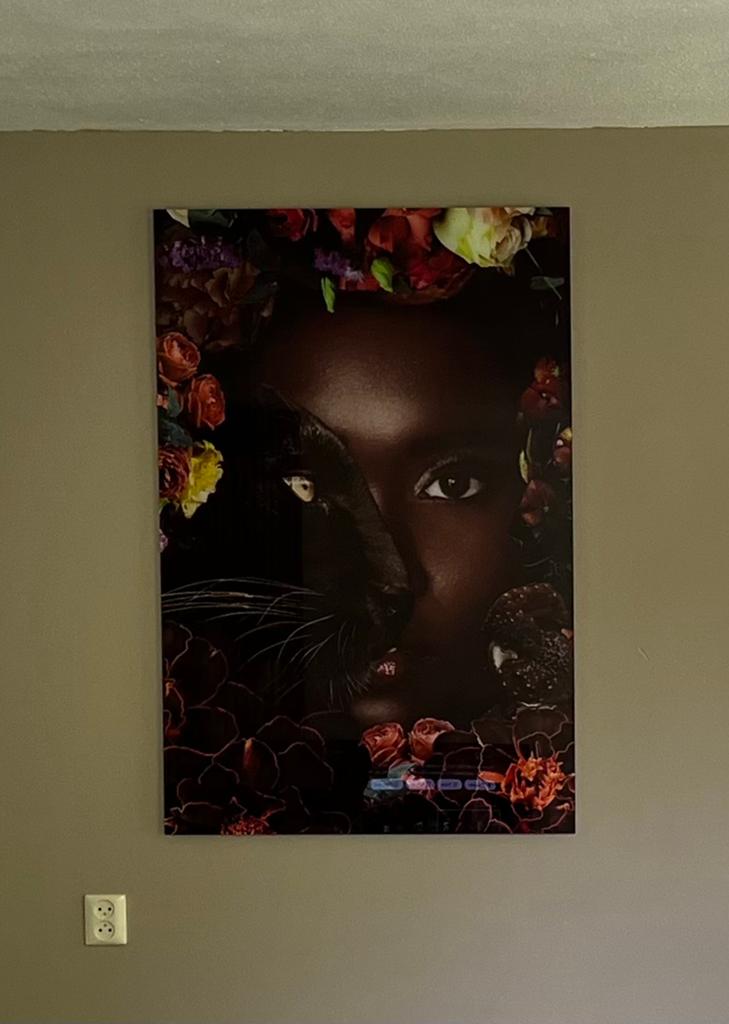 Luxe wanddecoratie, Huis en Inrichting, Woonaccessoires | Schilderijen, Tekeningen en Foto's, Ophalen, Zo goed als nieuw, Schilderij