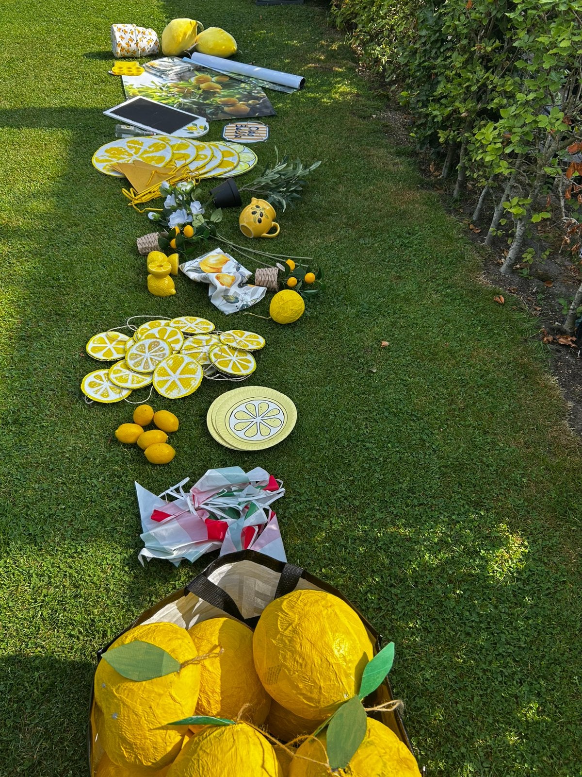 Citroen/lemon thema voor feest,mancave,versiering of deco., Ophalen, Zo goed als nieuw, Versiering, Geboorte of Huwelijk