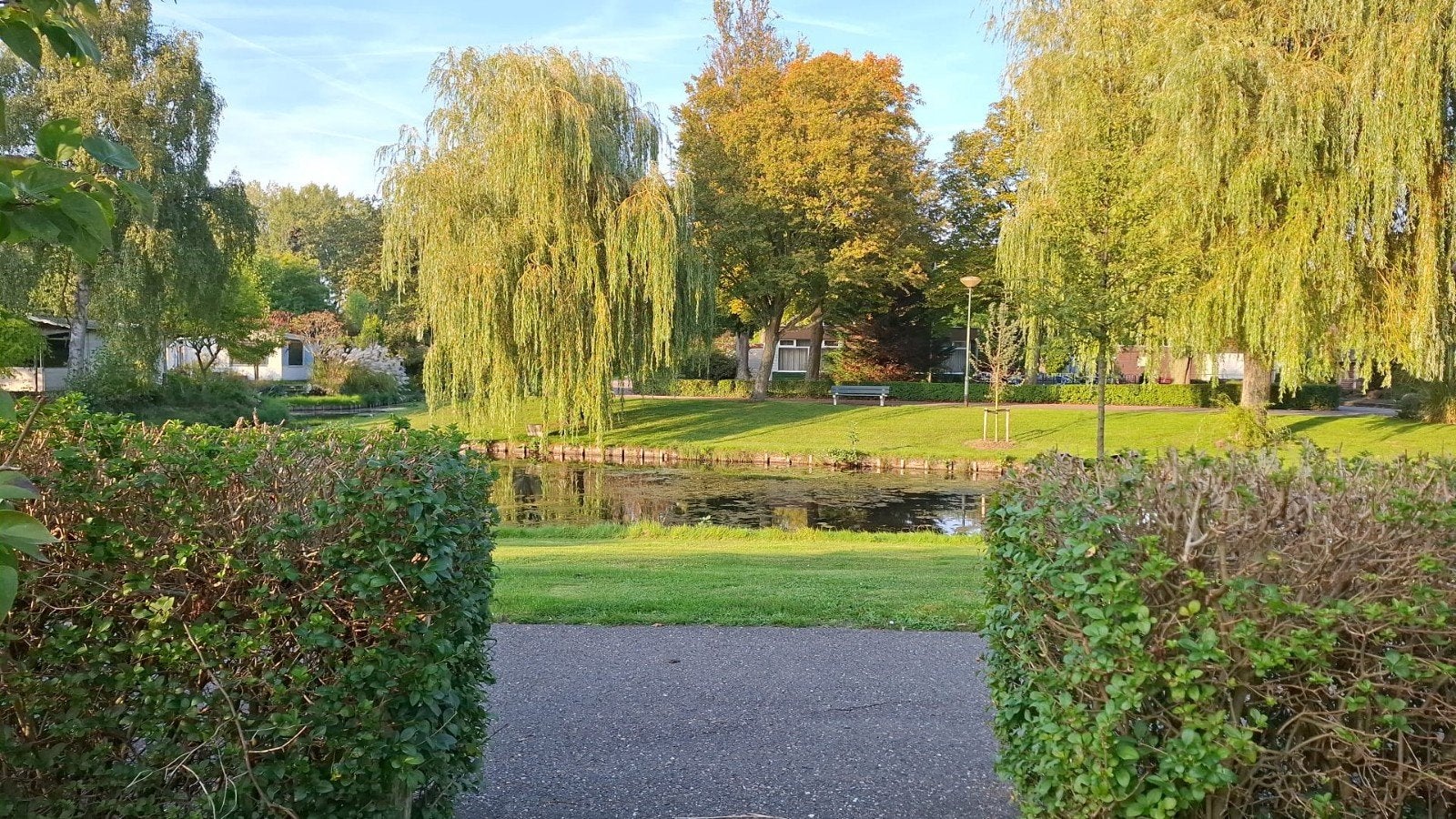 Volkstuin Tuinhuis  Hoogvliet Rotterdam Elftplaat, Tuinhuis, 250 tot 500 cm, Ophalen of Verzenden, 2 ramen