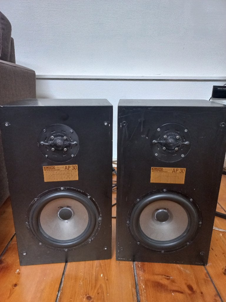 Audio Professional AP30 monitor luidsprekers (set van 2), Audio, Tv en Foto, Luidsprekers, Studiomonitor, Gebruikt, Minder dan 60 watt