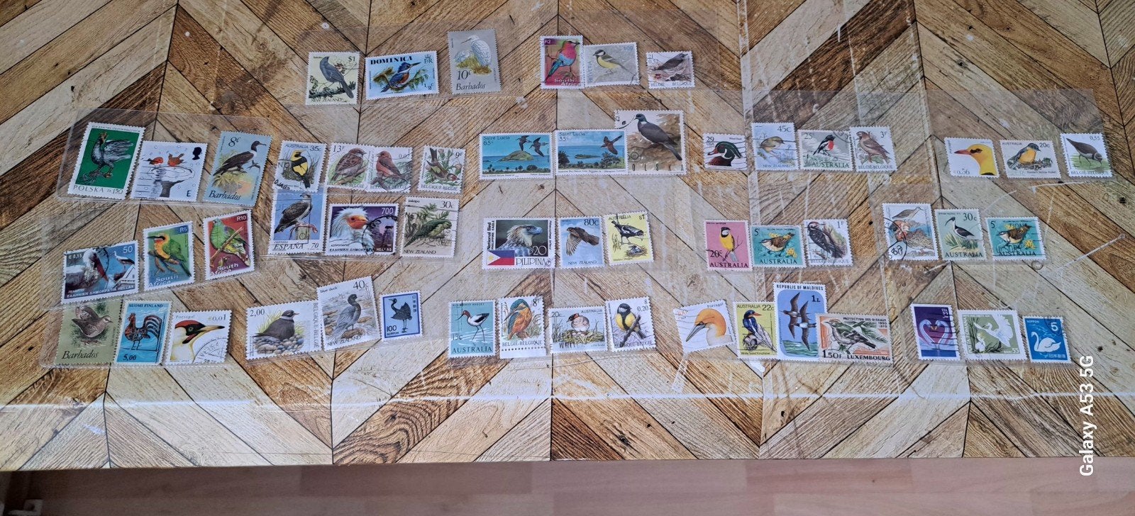 z.g.a.n 53 postzegels  van verschillende vogels, Ophalen of Verzenden, Dier of Natuur
