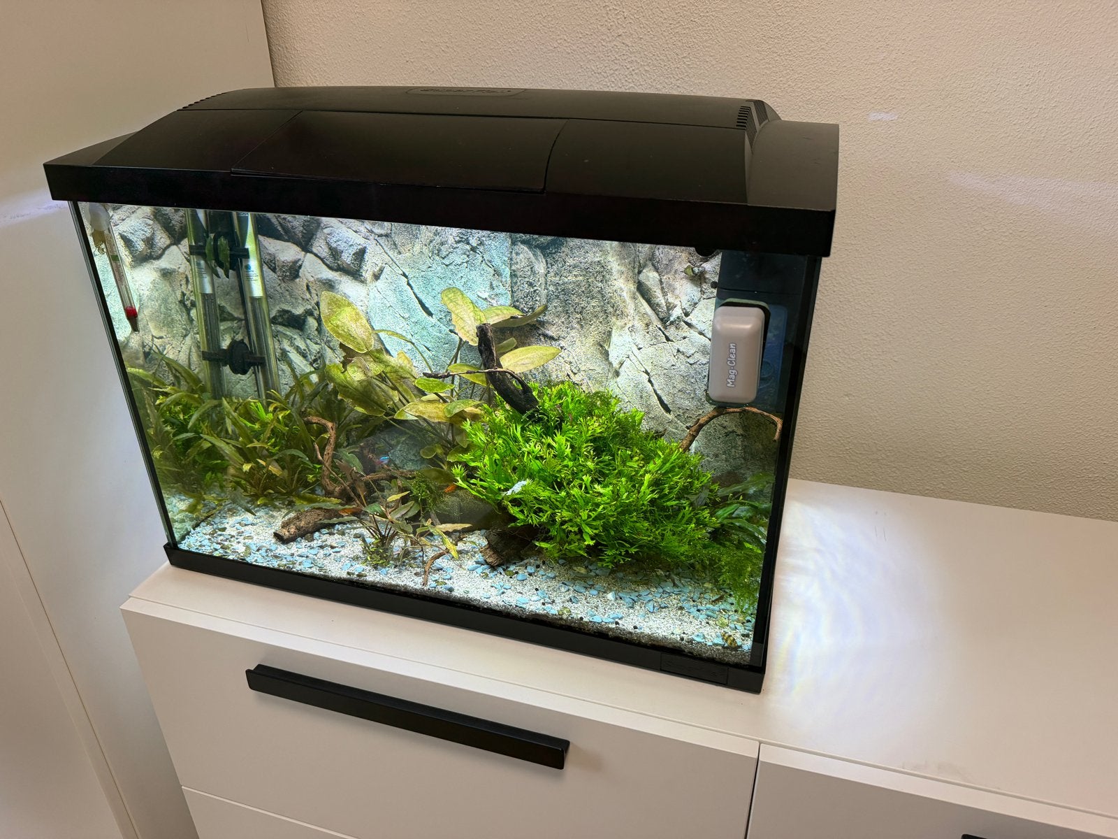 SuperFish 70 liter aquarium, Ophalen, Superfish, Inclusief vissen, Gevuld zoetwateraquarium