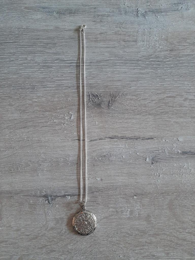 Zilverkleurige ketting met gedetailleerde hanger nieuw, Sieraden, Tassen en Uiterlijk, Kettingen, Gebruikt, Ophalen of Verzenden