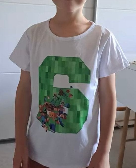 T-Shirt  Minecraft  116 cm, Ophalen of Verzenden, Zo goed als nieuw, Jongen of Meisje, Shirt of Longsleeve