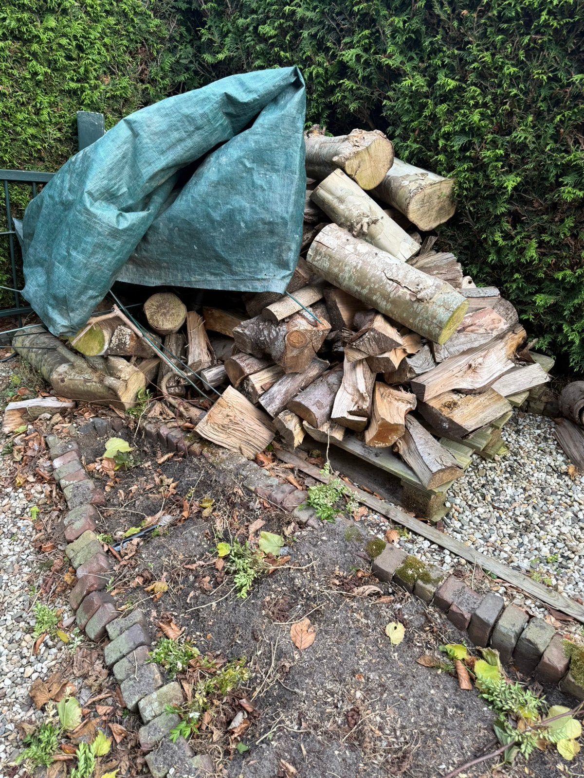 Openhaard hout eiken/ beuk, Minder dan 3 m³, Ophalen, Eikenhout