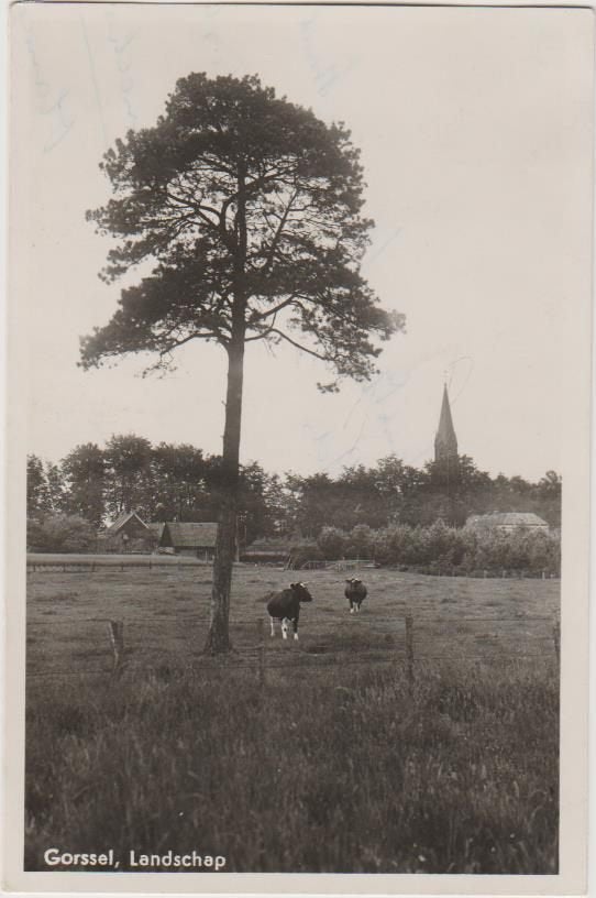 Gorssel (Gld) Landschap 1948., Ophalen, 1940 tot 1960, Gelopen, Gelderland