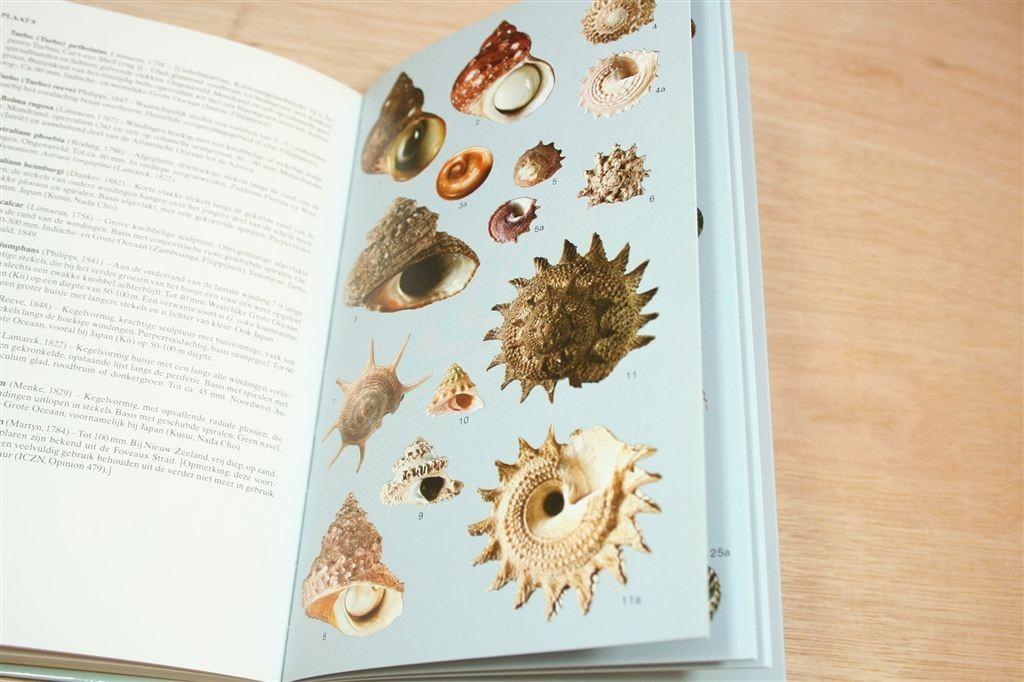 Tirion Schelpengids — Schelpen uit de Wereldzeeën, Ophalen of Verzenden, Zo goed als nieuw