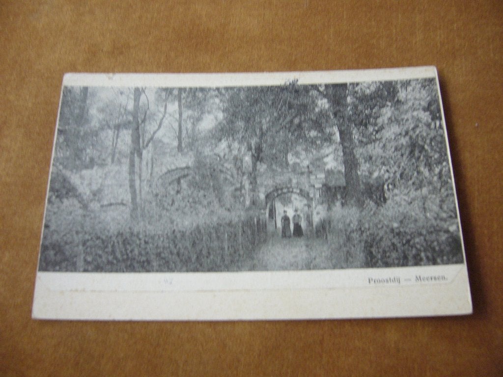 MEERSEN =  PROOSTDIJ   BRIEFKAART  1909, Ophalen of Verzenden, Voor 1920, Gelopen, Zuid-Holland