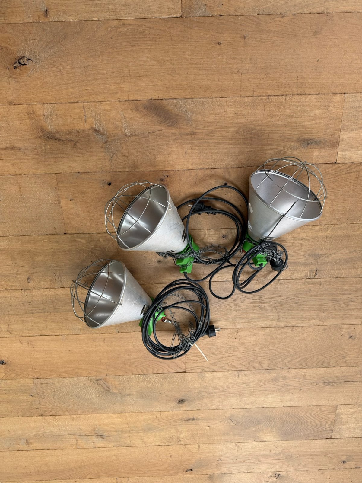 warmete lampen, Meerdere dieren, Schaap