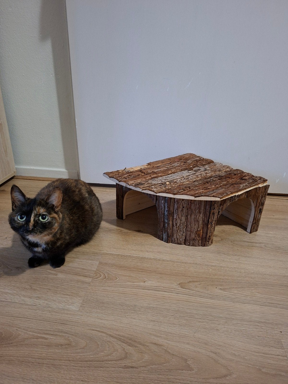 Groot knaagdier huis, syrische hamster, cavia, dwergkonijn, Ophalen, Gebruikt, Speelgoed