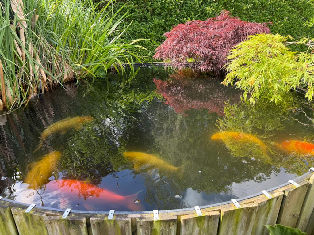 Koi vijver hdpe diameter 3m diepte 2 meter, Ophalen, Gebruikt