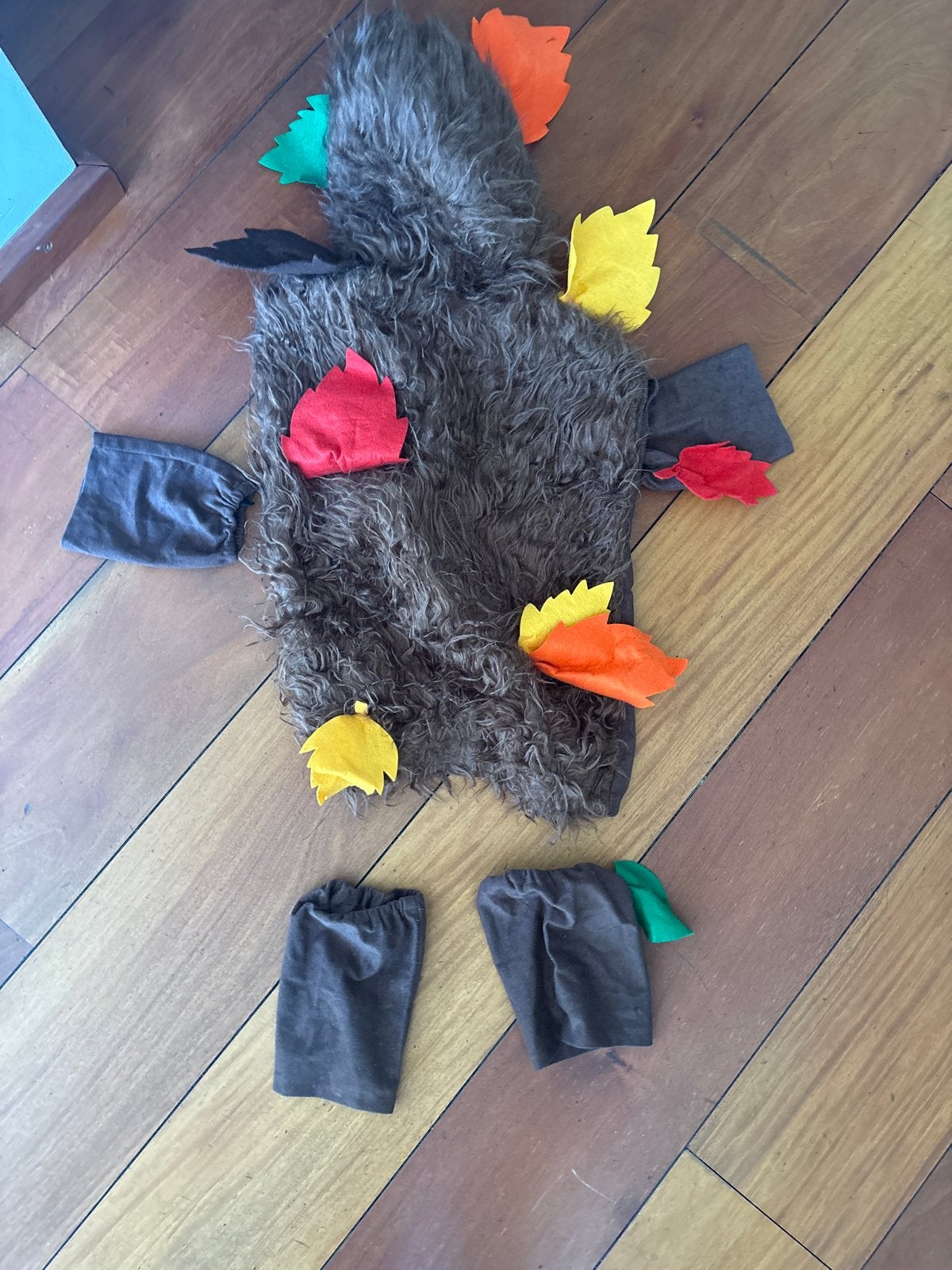 Leuk egel kostuum voor kinderen, Kinderen en Baby's, Carnavalskleding en Verkleedspullen, Ophalen of Verzenden, Zo goed als nieuw