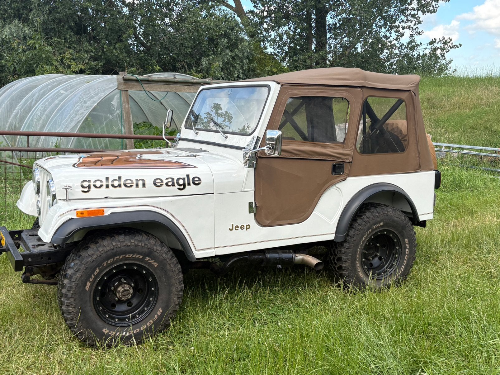 Jeep CJ5 golden eagle V8 4 speed 1979 apk 2028, 5000 cc, 8 cilinders, CJ, Wit