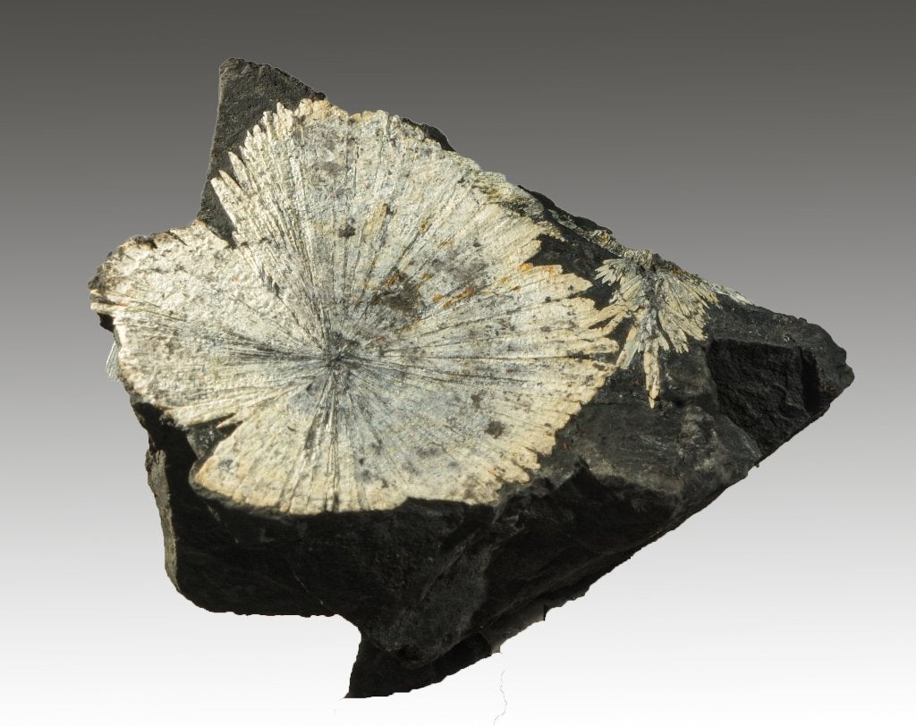 VIVANIET kristallen uit Blaton, België., Ophalen of Verzenden, Mineraal