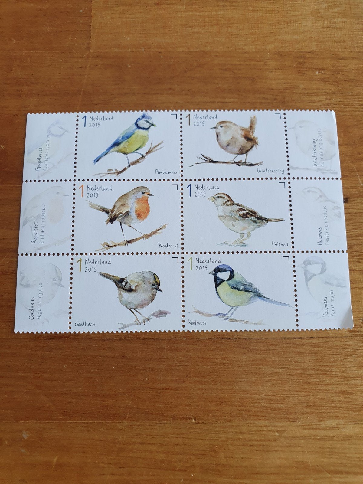 Vogel postzegels Nederland 2019 - Postfris velletje, Ophalen of Verzenden, Postfris, Dier of Natuur
