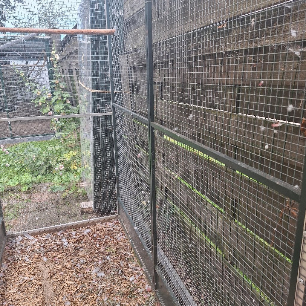 Voliere: 3 m breed 1 m diep en ca 2 m hoog + deuren + voerla, Ophalen, Gebruikt, Aluminium, Volière