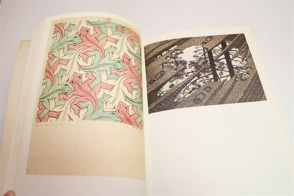 De Werelden van M.C. Escher — Overzicht van zijn Werk, Boeken, Kunst en Cultuur | Beeldend, Ophalen of Verzenden, Gelezen