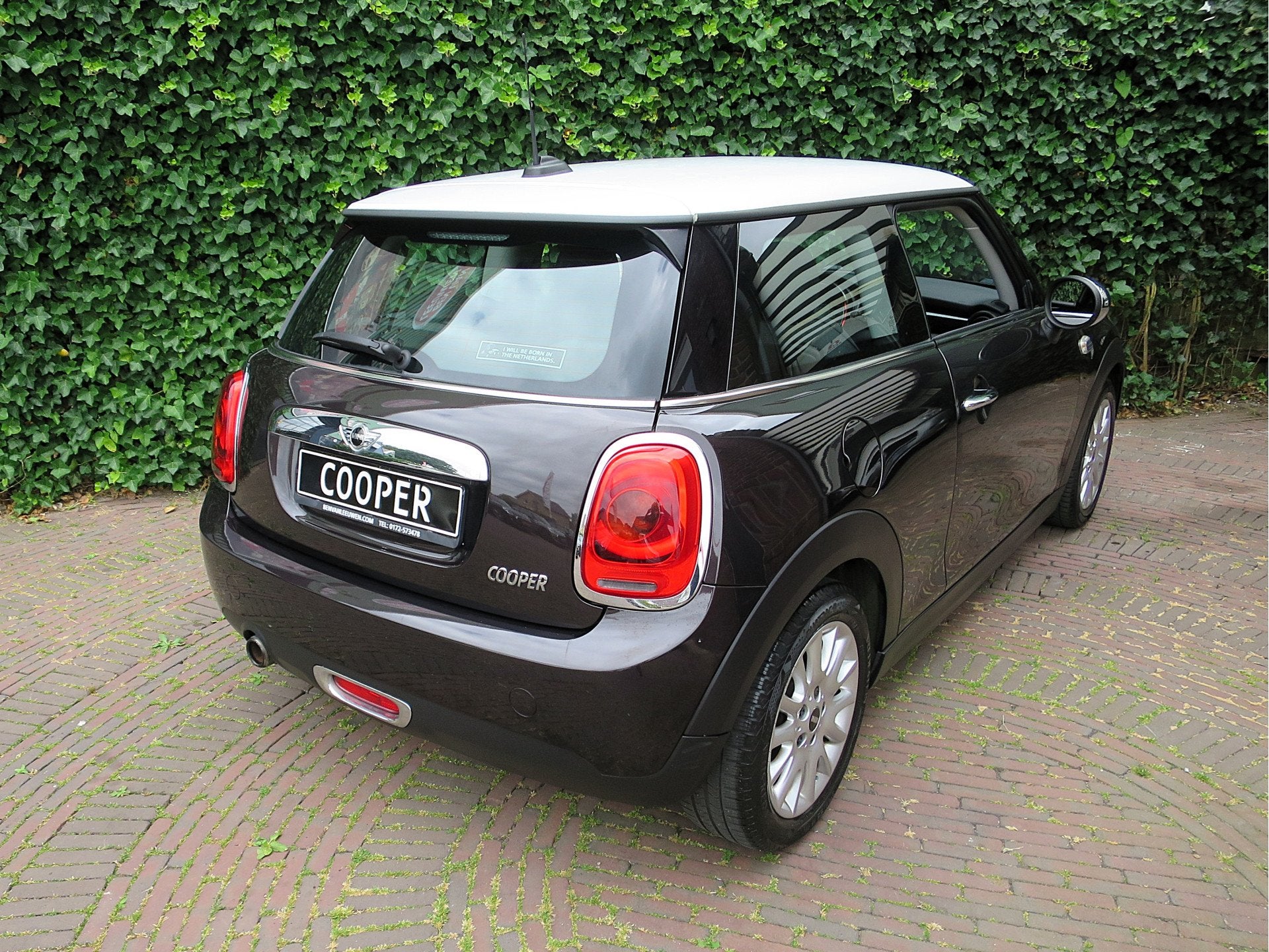 MINI Cooper 1.5 Salt F56 NL-auto, LED, XL-navi, BT, clima en, 136 pk, Gebruikt, 4 stoelen, Leder en Stof