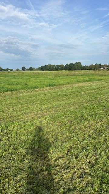 Grazen op 1,5 hectare weide, Dieren en Toebehoren, Weidegang, 4 paarden of pony's of meer