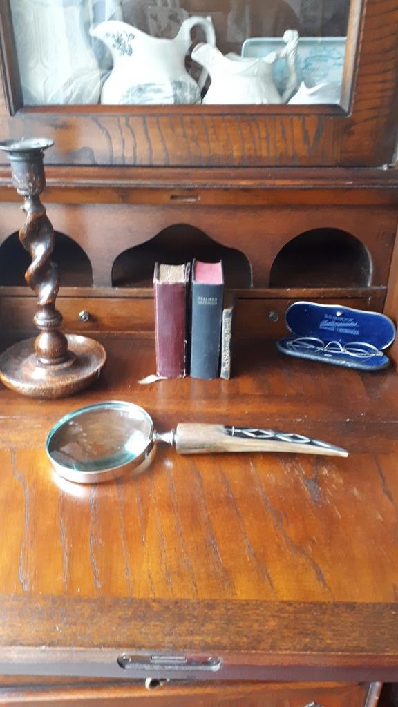 Leuke vintage brocante loep of vergrootglas hoornen handvat, Ophalen of Verzenden