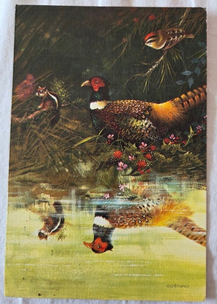 Fazanten in de natuur, Verzenden, 1980 tot heden, Gelopen, Vogel