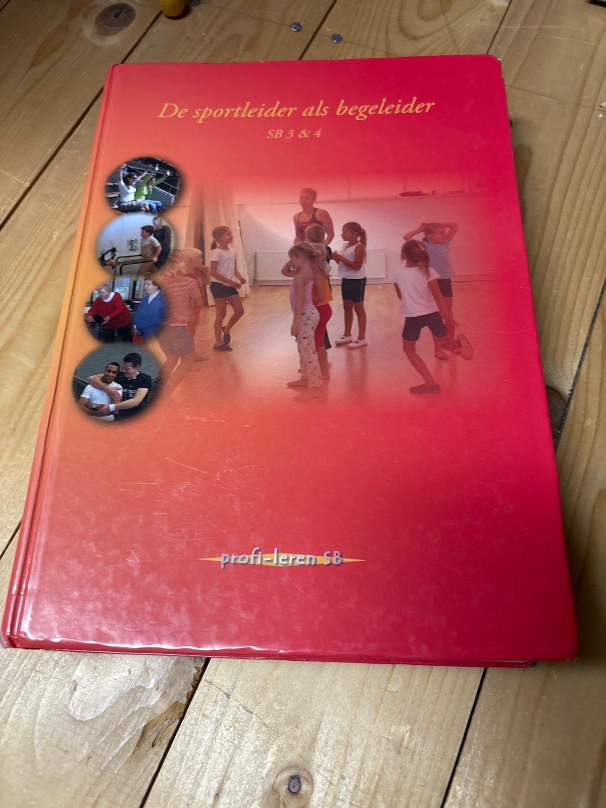 De sportleider als begeleider SB 3&4 - Profi-leren SB, Boeken, Ophalen of Verzenden, Zo goed als nieuw, Overige niveaus, Overige vakken