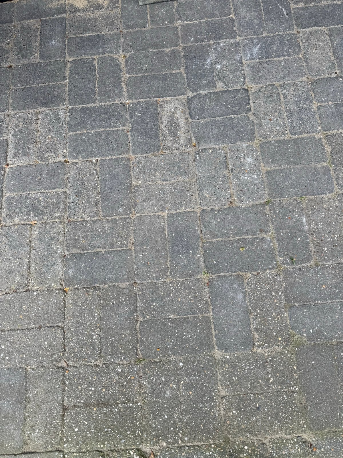 Gratis! Betonnen klinkers voor oprit of terras 50 m2, Tuin en Terras, Ophalen, Gebruikt, Klinkers, 10 m² of meer