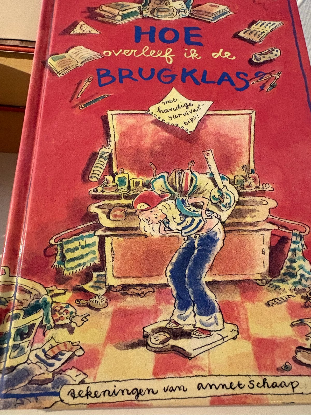 Hoe overleef ik de brugklas? - Annet Schaap, Boeken, Kinderboeken | Jeugd | 13 jaar en ouder, Gelezen, Fictie, Ophalen