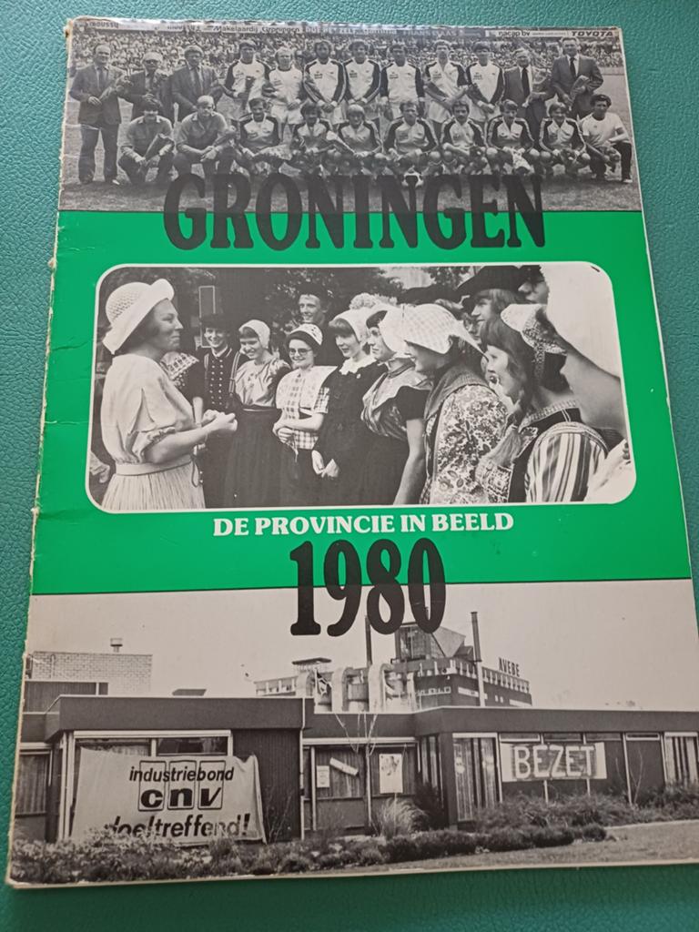 Groningen: De Provincie in Beeld 1980 - Jaarboek, Ophalen of Verzenden, 20e eeuw of later, Gelezen, Diverse auteurs