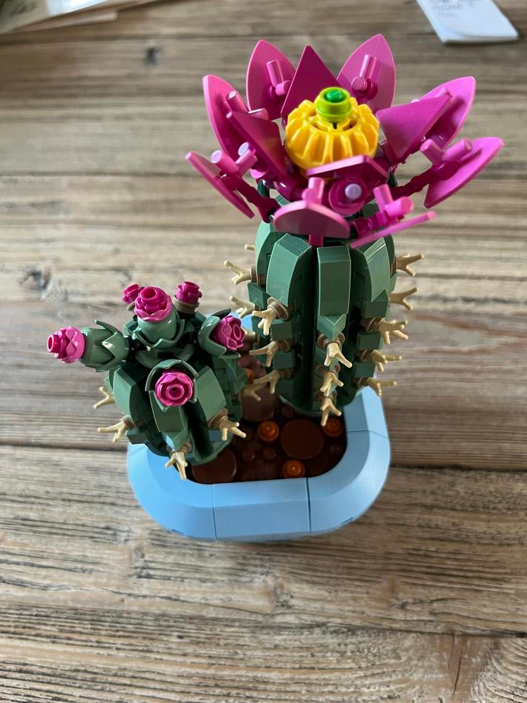 LEGO Botanicals Bloeiende Cactus 11509, Kinderen en Baby's, Speelgoed | Duplo en Lego, Zo goed als nieuw, Ophalen