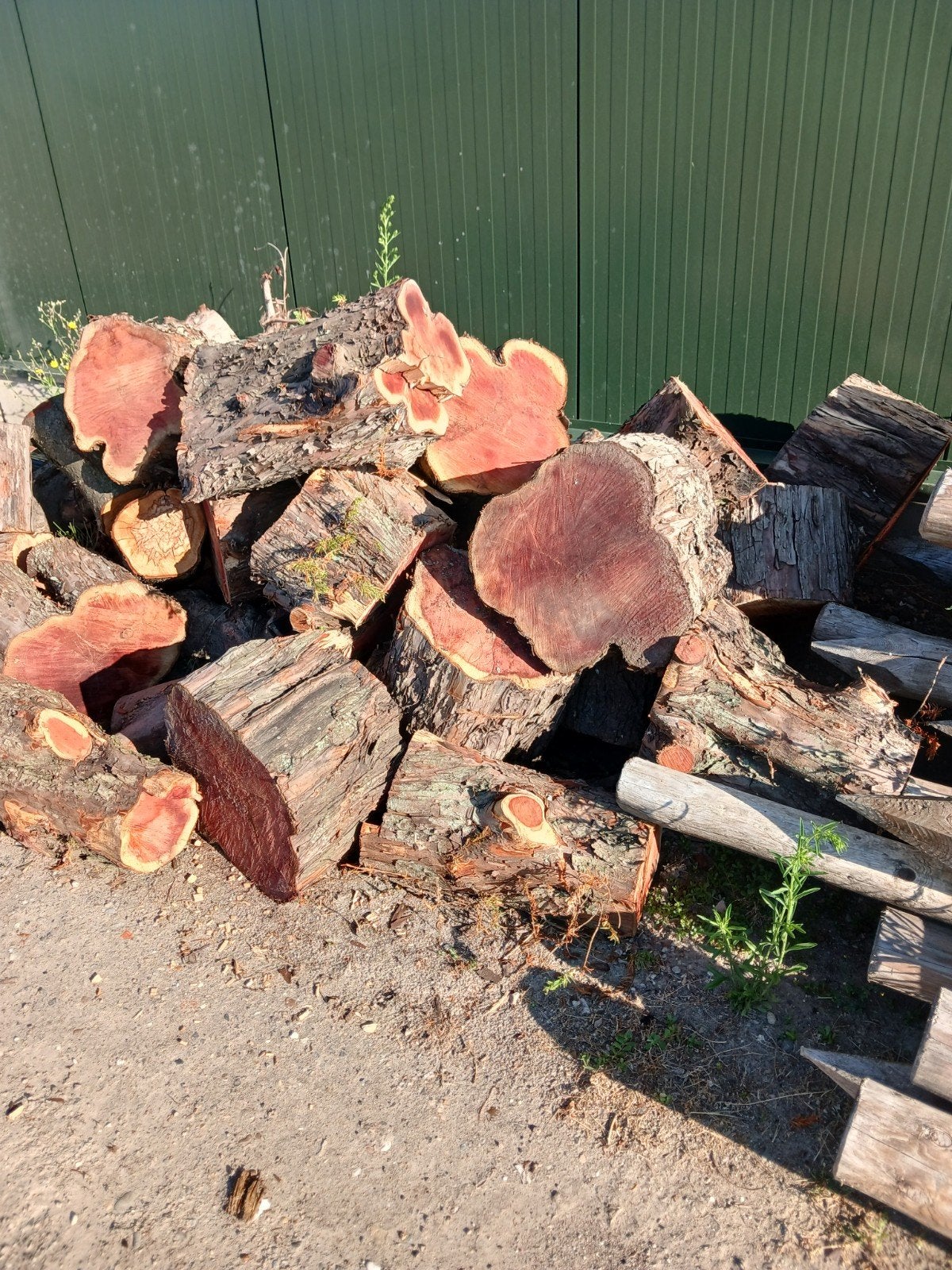 Taxus blokken - Ideaal voor houtsnijwerk of brandhout, Ophalen