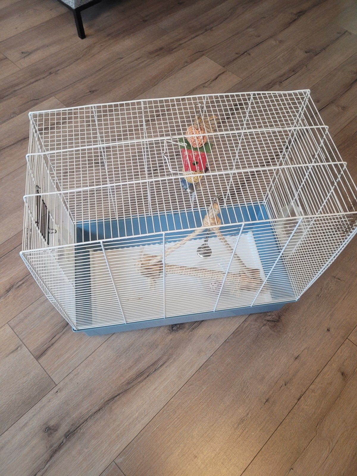 Vogelkooi, Dieren en Toebehoren, Minder dan 60 cm, Kooi, Minder dan 75 cm, Ophalen of Verzenden