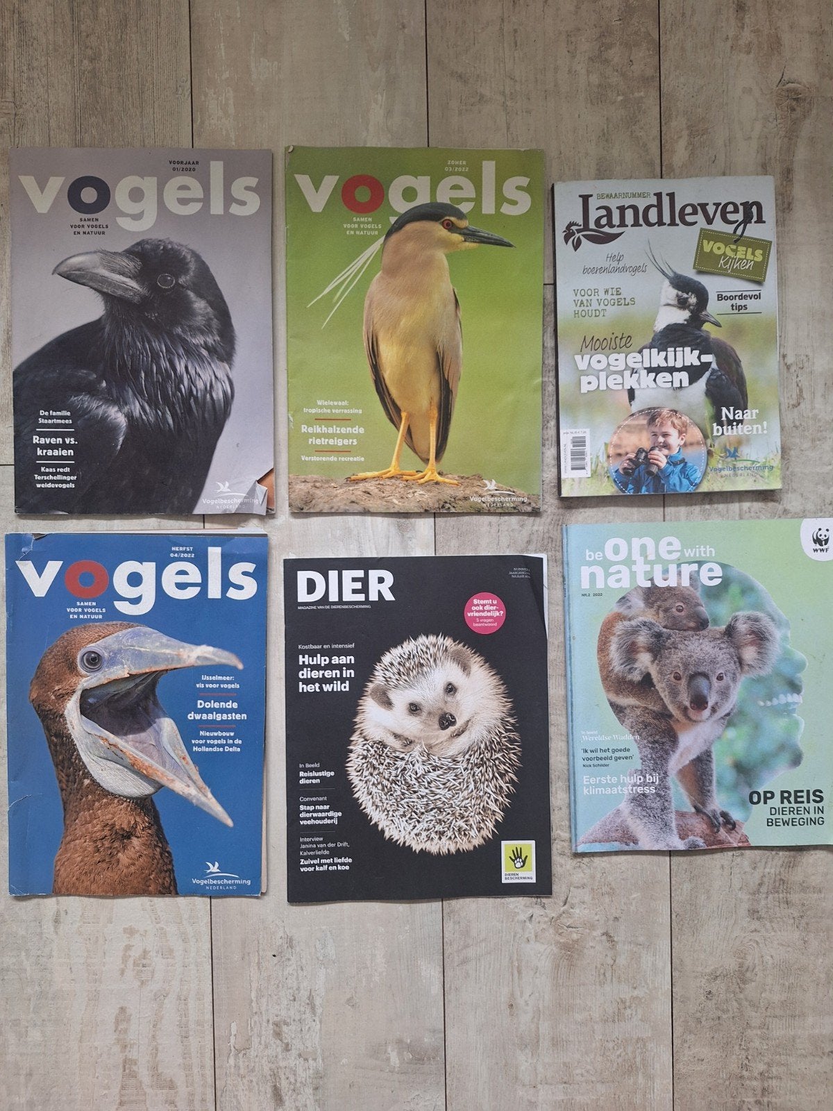 Vogel en dier tijdschriften, Boeken, Tijdschriften en Kranten, Ophalen of Verzenden, Gelezen, Wetenschap en Natuur