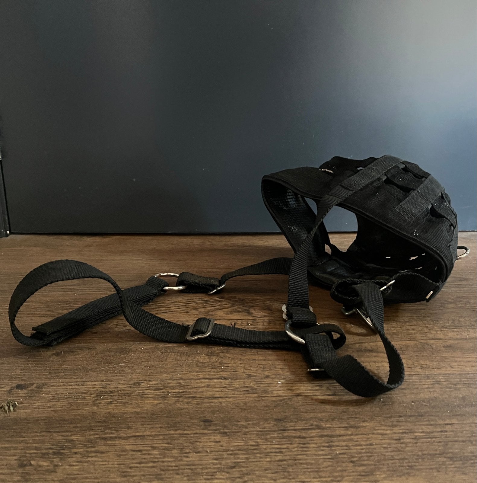 Graasmasker “Harry’s horse” maat full, Ophalen of Verzenden, Nieuw, Overige soorten