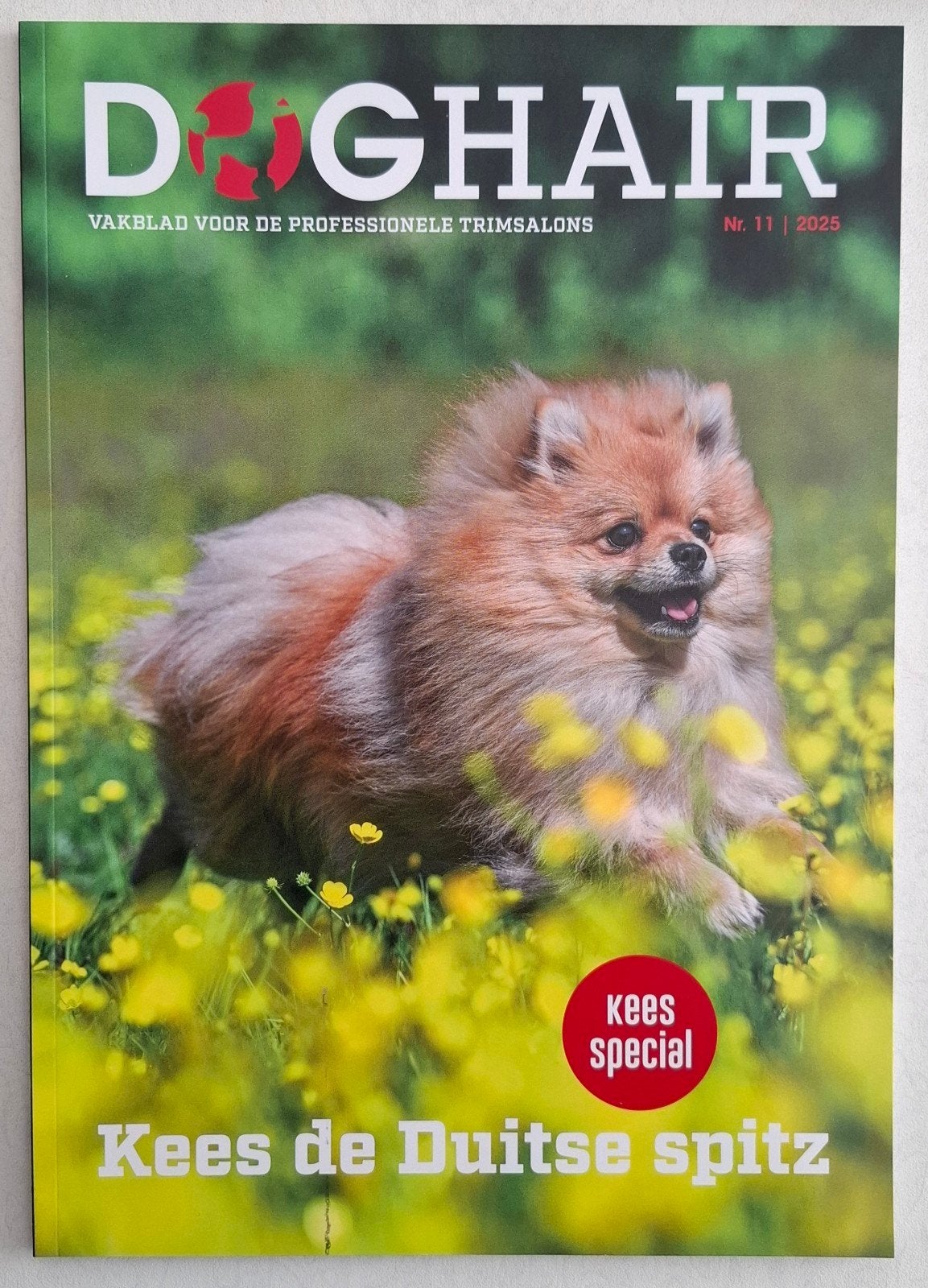 Doghair Vakblad Nr. 11 | 2025 - Kees de Duitse Spitz, Ophalen of Verzenden