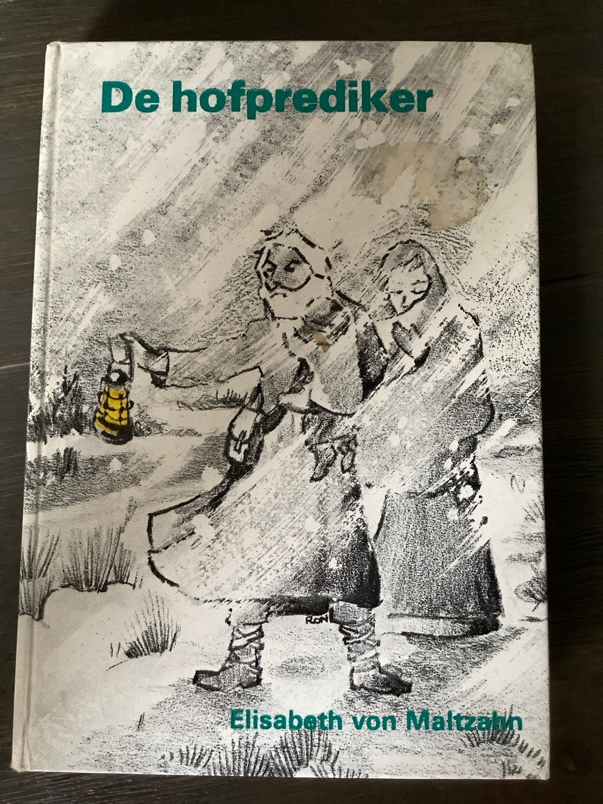 De Hofprediker - Elisabeth von Maltzahn (historische roman), Ophalen of Verzenden, Gelezen