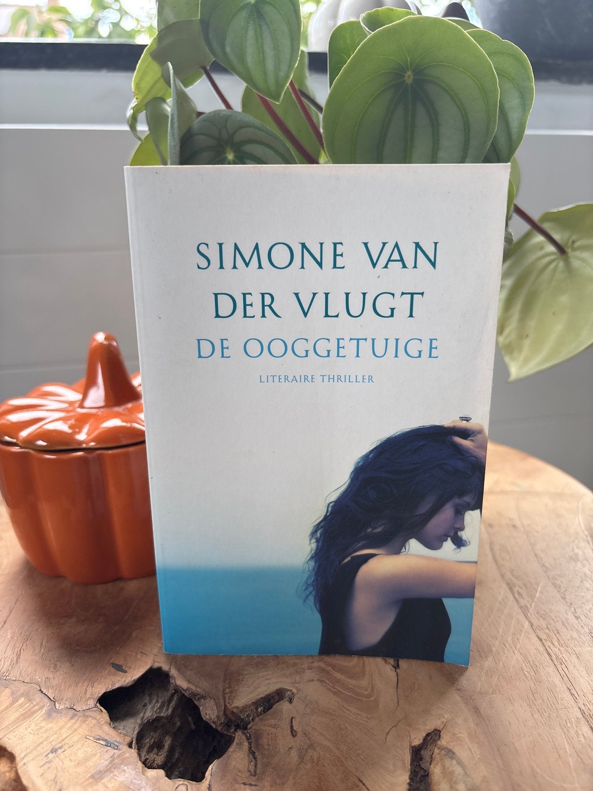 De Ooggetuige - Simone van der Vlugt (Literaire thriller), Ophalen of Verzenden, Gelezen