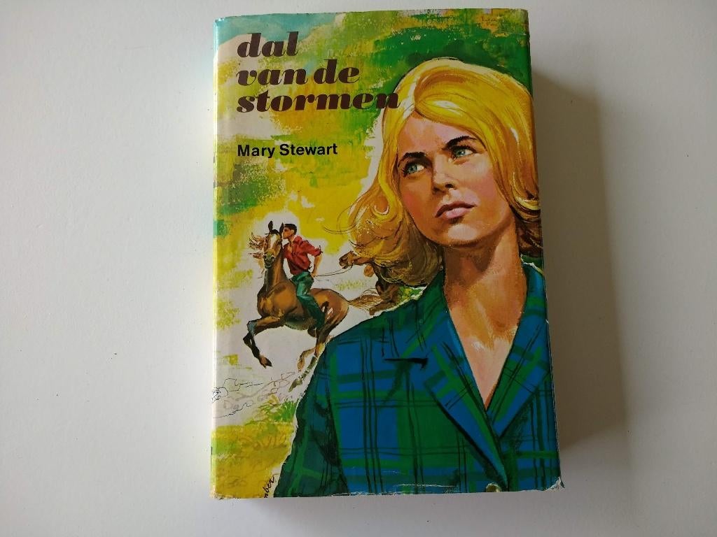Boek Dal van de stormen door Mary Stewart, Boeken, Romans, Ophalen of Verzenden, Gelezen