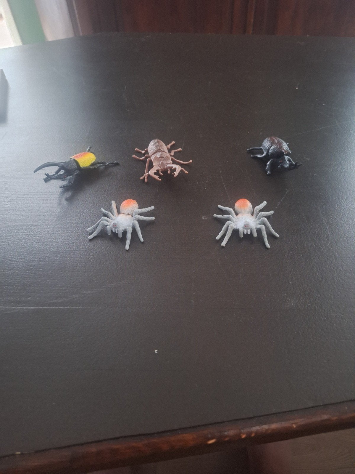 Setje insecten: 2 spinnen en 3 kevers, Ophalen of Verzenden, Gebruikt, Insect, Beeldje of Figuurtje
