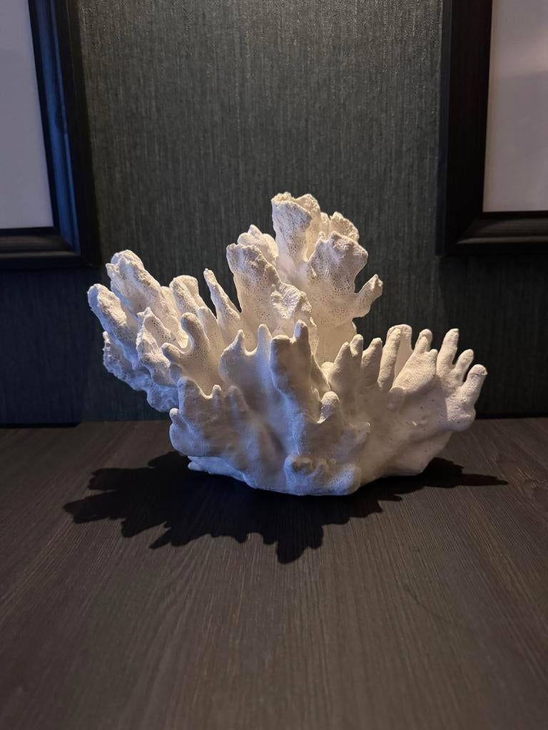 Decoratief wit koraalstuk, Huis en Inrichting, Woonaccessoires | Overige, Ophalen, Nieuw, Modern, Wit