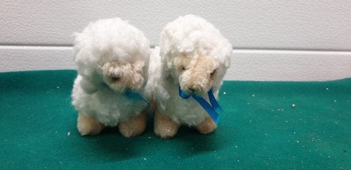 -	Schapenknuffels en beeldjes, Diversen, Ophalen of Verzenden, 'T Olde Gre-j, Info@toldegrej.nl, Endepoelstraat 20f Didam