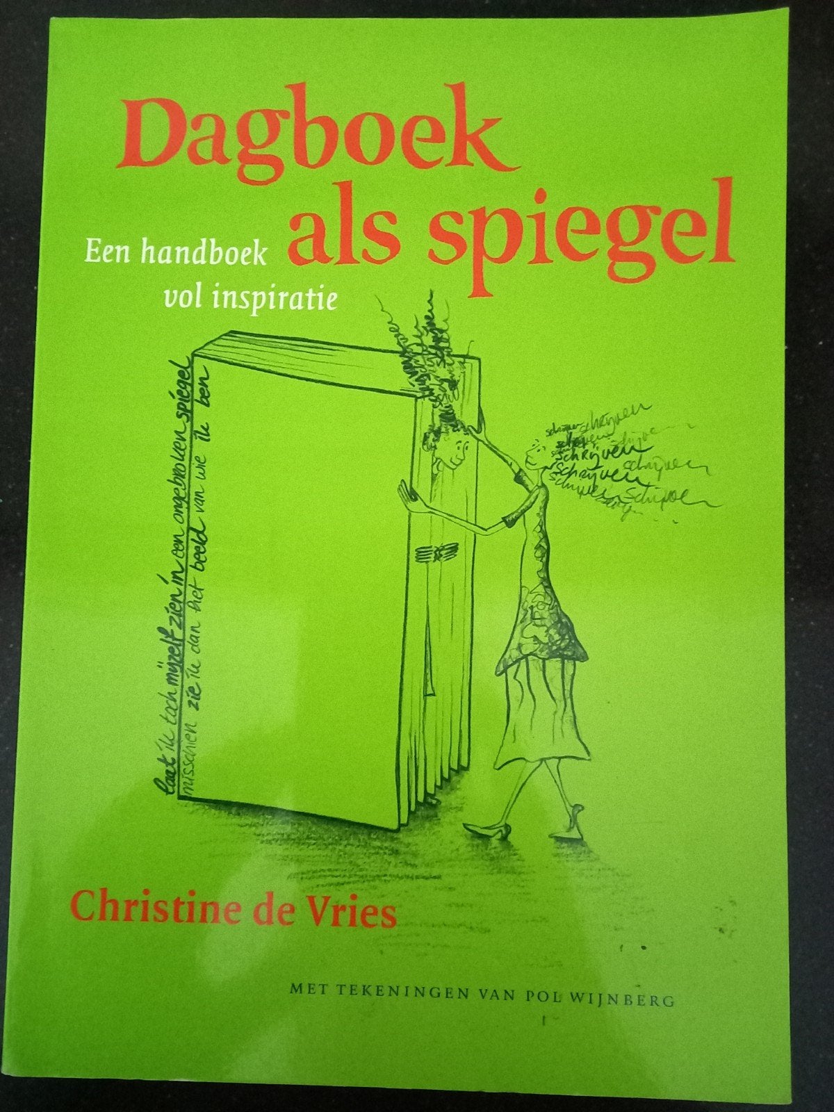 Christine de Vries - Dagboek als spiegel, Achtergrond en Informatie, Ophalen of Verzenden, Zo goed als nieuw, Christine de Vries