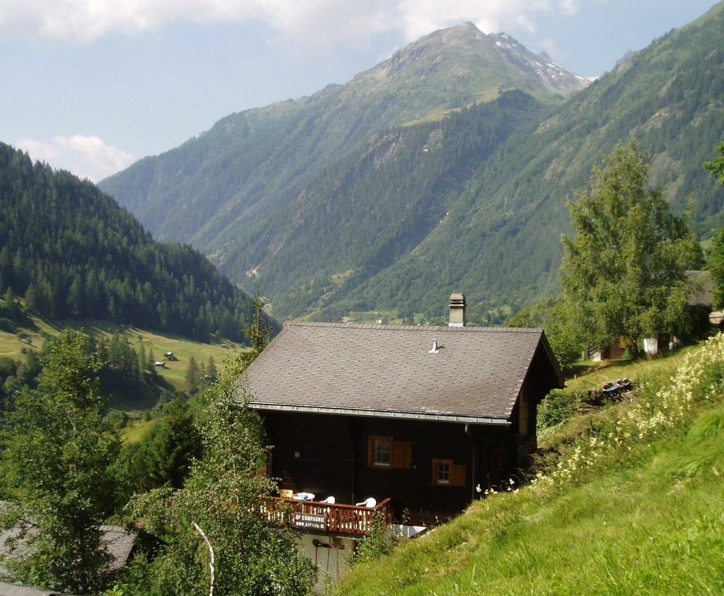 Luxe chalet in het prachtige Lötschental, Wallis, Vakantie, Vakantiehuizen | Zwitserland, 4 of meer slaapkamers, Open haard, 7 personen