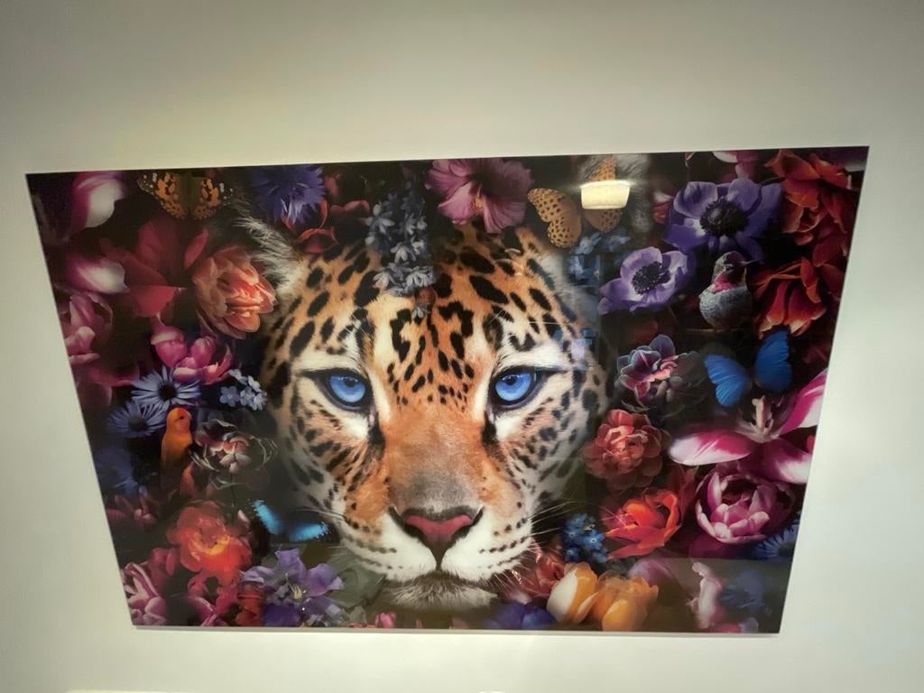 Schilderij met tijger en bloemen, Ophalen of Verzenden, Zo goed als nieuw, Schilderij, Oorspronkelijke maker