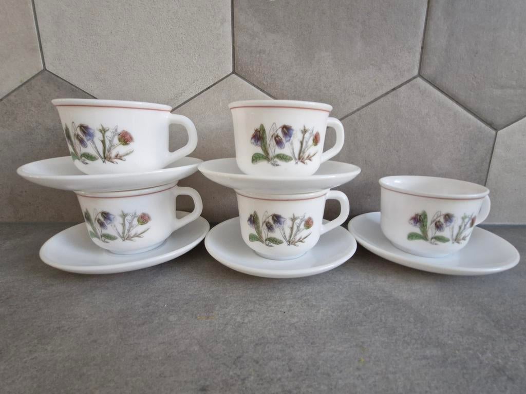 Vintage Servies Arcopal France, Ophalen of Verzenden