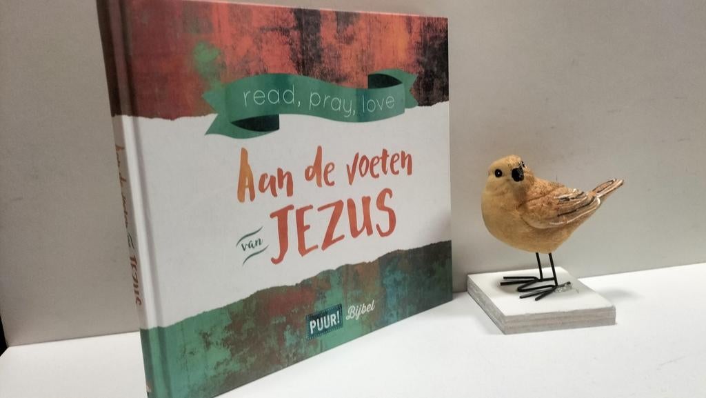 Schotanus, Anne; Zitten aan de voeten van Jezus, Ophalen of Verzenden, Gelezen, Christendom | Protestants